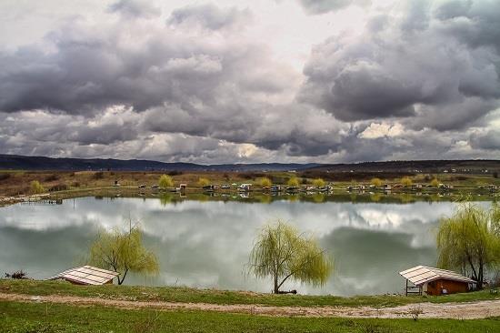 Jurnalul lui gor965: Intre Grey si Green